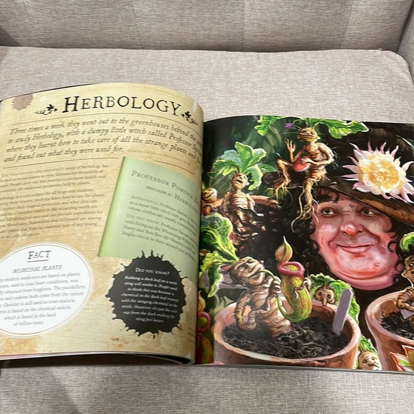 Paperback book Harry Potter - Picture 4 of 7